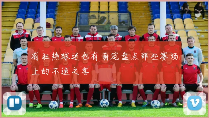 有狂热球迷也有萌宠盘点那些赛场上的不速之客