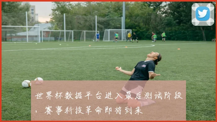 世界杯数据平台进入最后测试阶段,赛事科技革命即将到来