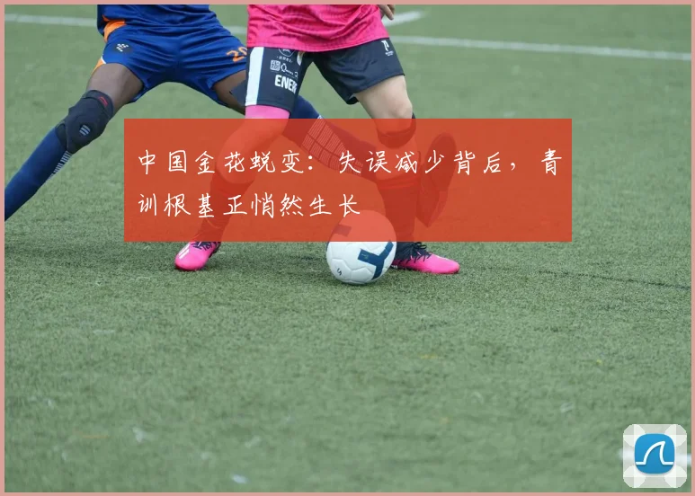 中国金花蜕变:失误减少背后,青训根基正悄然生长